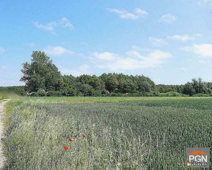 Pomorska Giełda Nieruchomości, Działki  na sprzedaż, Mrzeżyno, ul. 
