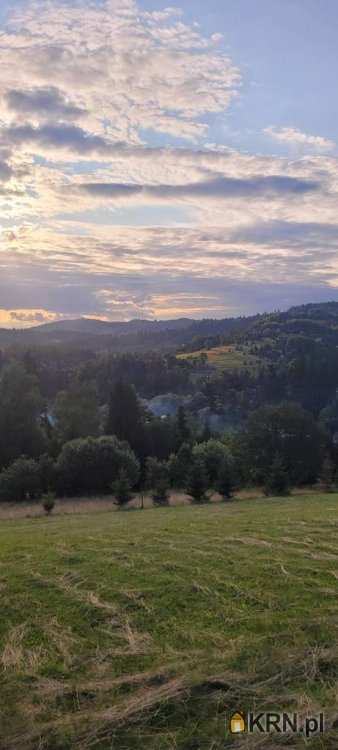 Działki  na sprzedaż, Nieledwia, ul. , 