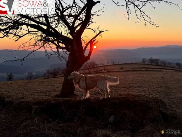 Działki  na sprzedaż, , Sierpnica, ul. 