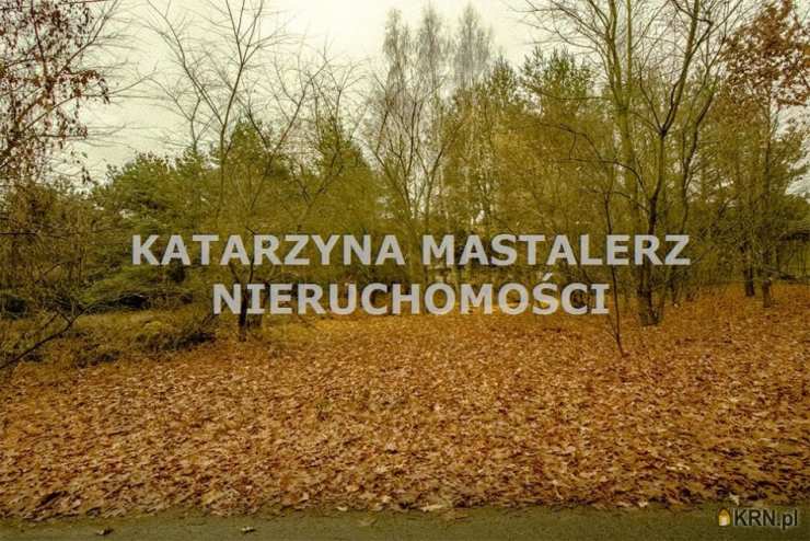 , Strzeniówka, ul. , Działki  na sprzedaż