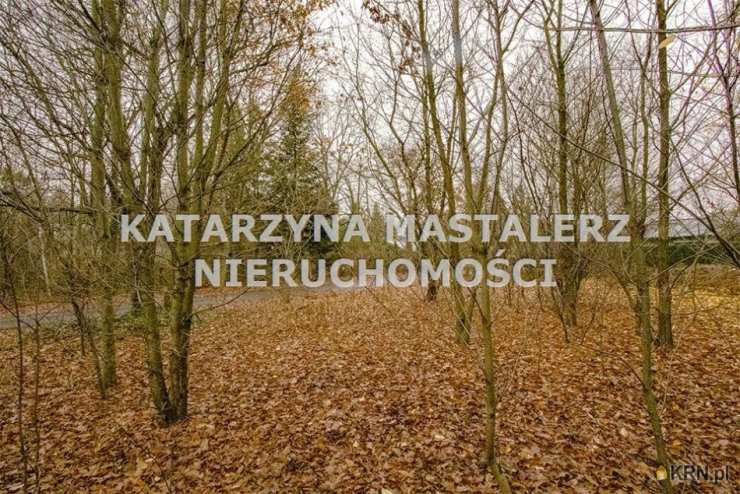 Katarzyna Mastalerz - twój partner w nieruchomościach, Działki  na sprzedaż, Strzeniówka, ul. 