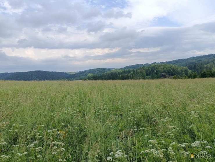 Walim, ul. , Działki  na sprzedaż, 