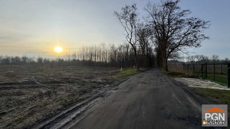 Działki  na sprzedaż, Buniewice, ul. , 