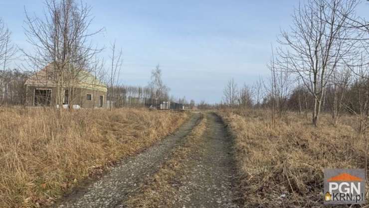 Działki  na sprzedaż, Buniewice, ul. , 