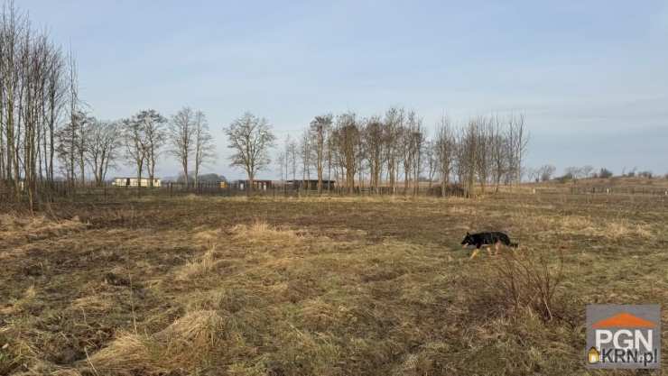 Buniewice, ul. , , Działki  na sprzedaż