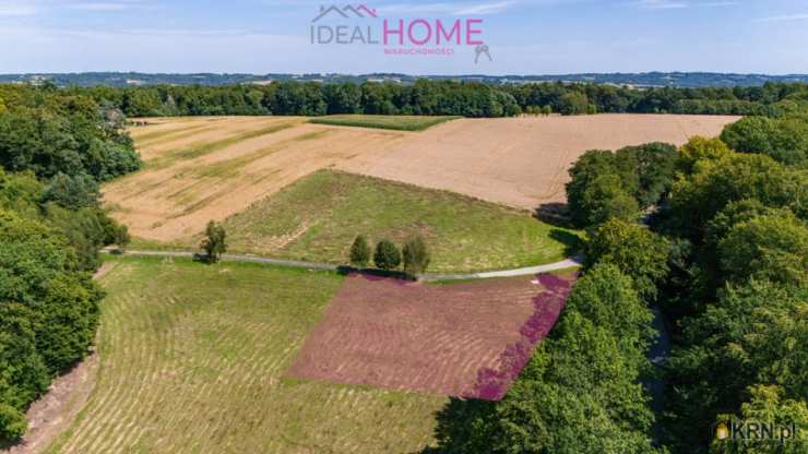 Borek Stary, ul. , , Działki  na sprzedaż