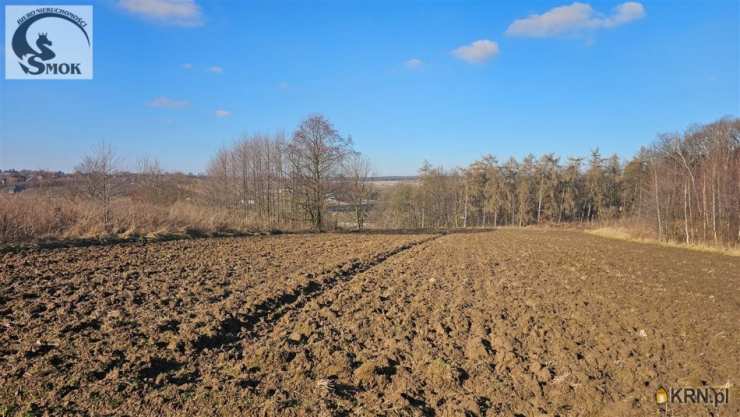 Działki  na sprzedaż, Łuczyce, ul. , 