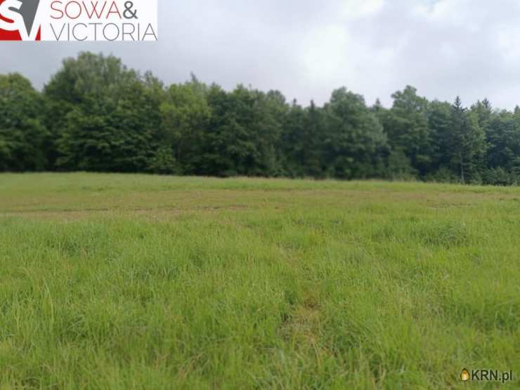 Działki  na sprzedaż, Głuszyca, ul. , 