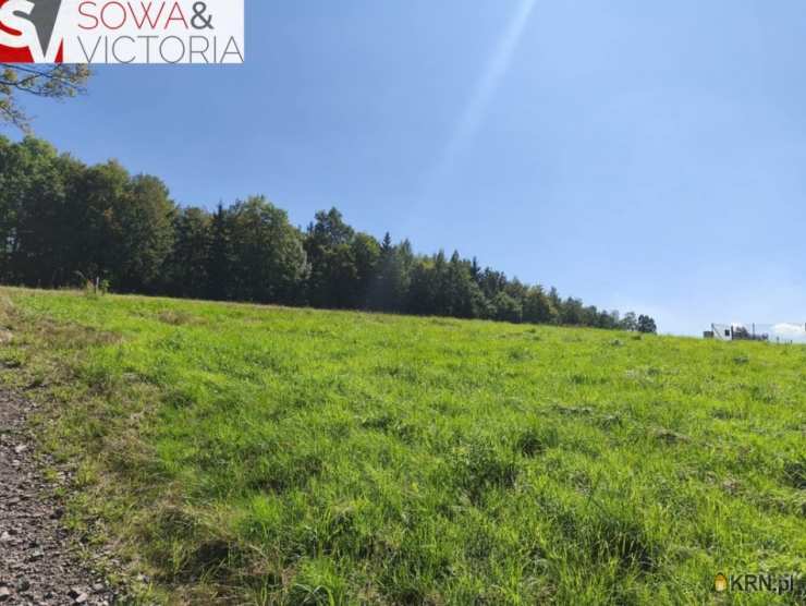 , Głuszyca, ul. , Działki  na sprzedaż