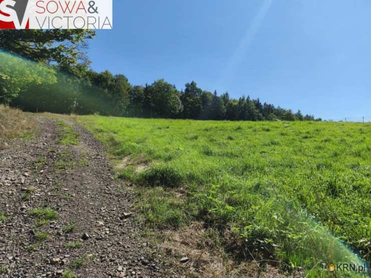, Działki  na sprzedaż, Głuszyca, ul. 