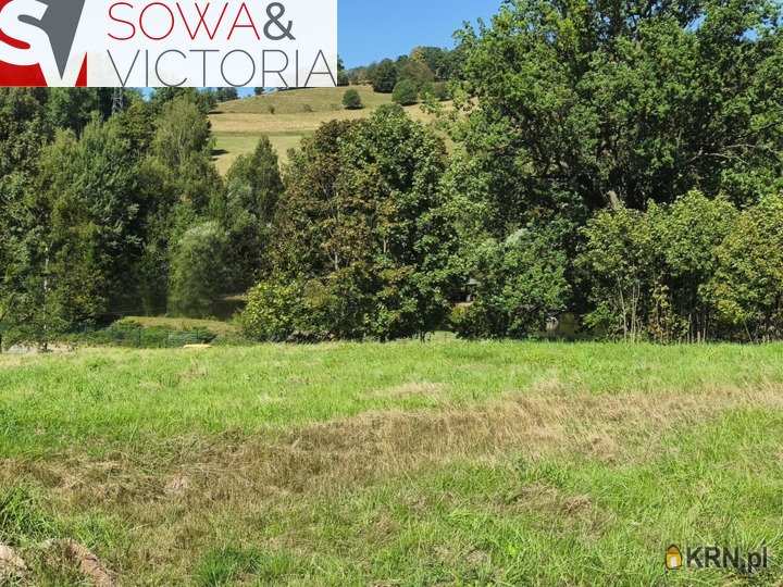 Działki  na sprzedaż, Głuszyca, ul. , 