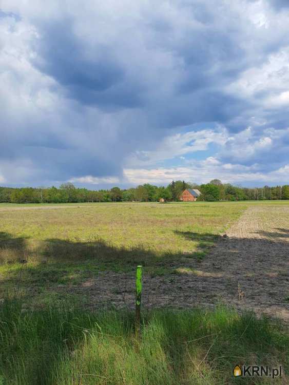 Działki  na sprzedaż, , Osiek Wielki, ul. 