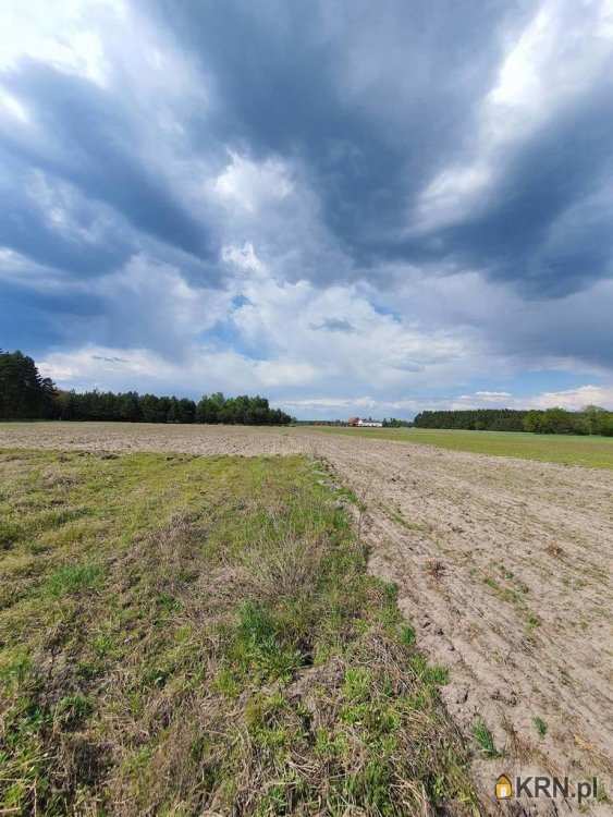 Osiek Wielki, ul. , Działki  na sprzedaż, 