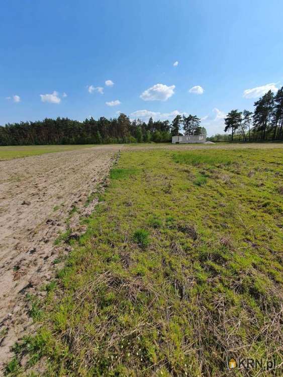 Osiek Wielki, ul. , , Działki  na sprzedaż