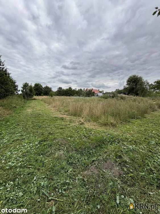 , Działki  na sprzedaż, Cienin Kościelny, ul. 