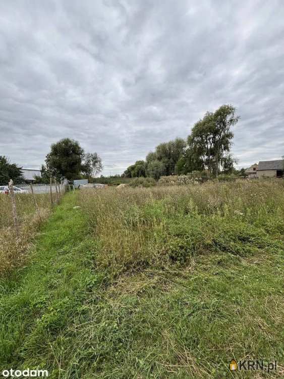 , Działki  na sprzedaż, Cienin Kościelny, ul. 