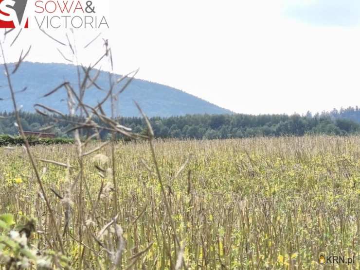 Działki  na sprzedaż, Lubomin, ul. , 