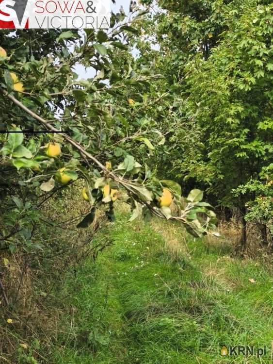 , Lubomin, ul. , Działki  na sprzedaż