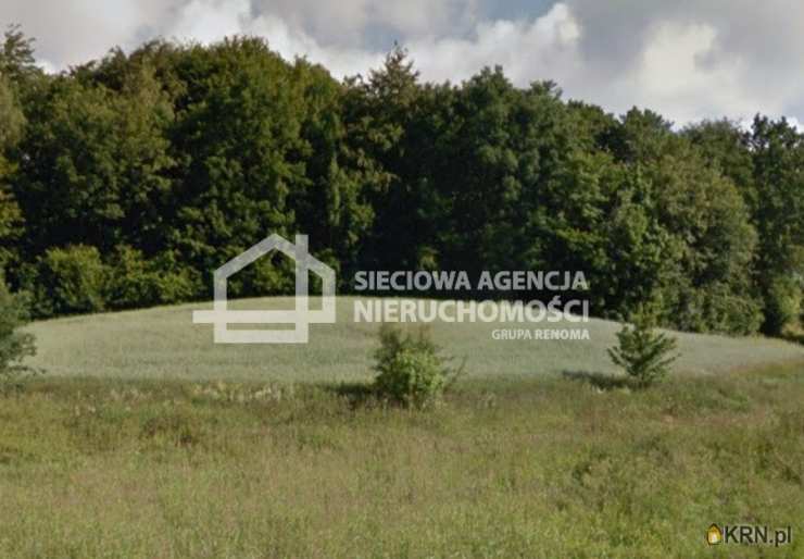 Sieciowa Agencja Nieruchomości Grupa Renoma, Działki  na sprzedaż, Załęże, ul. 