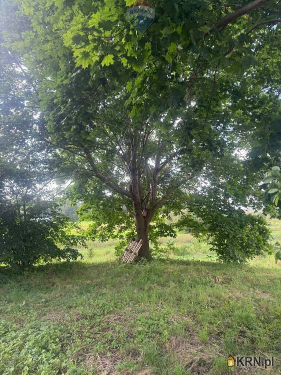 Przezmark, ul. , Działki  na sprzedaż, 