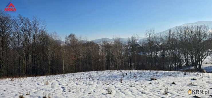 Działki  na sprzedaż, Wola Skrzydlańska, ul. , 