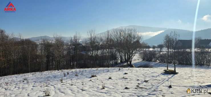 Działki  na sprzedaż, , Wola Skrzydlańska, ul. 
