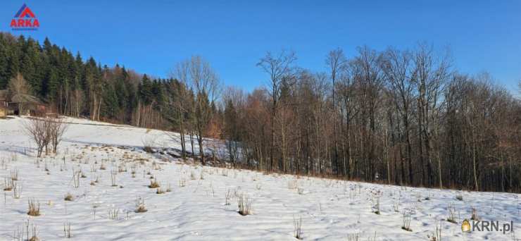 , Wola Skrzydlańska, ul. , Działki  na sprzedaż