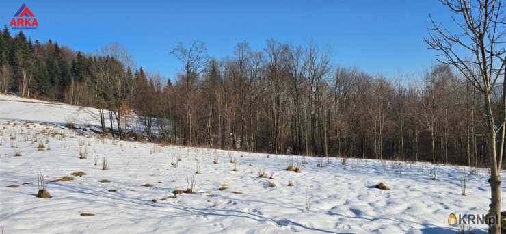 , Działki  na sprzedaż, Wola Skrzydlańska, ul. 