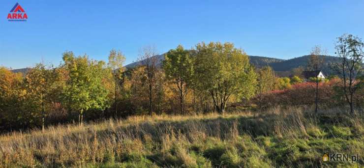 Działki  na sprzedaż, Wola Skrzydlańska, ul. , 