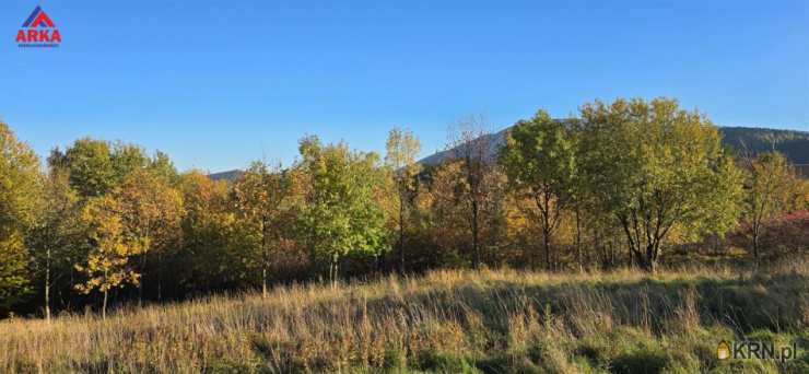 Działki  na sprzedaż, , Wola Skrzydlańska, ul. 