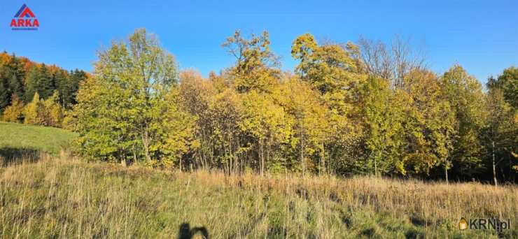 Wola Skrzydlańska, ul. , , Działki  na sprzedaż