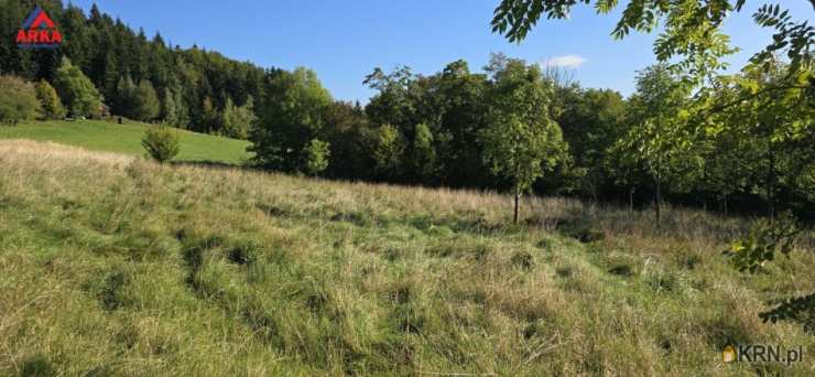 Działki  na sprzedaż, Wola Skrzydlańska, ul. , 