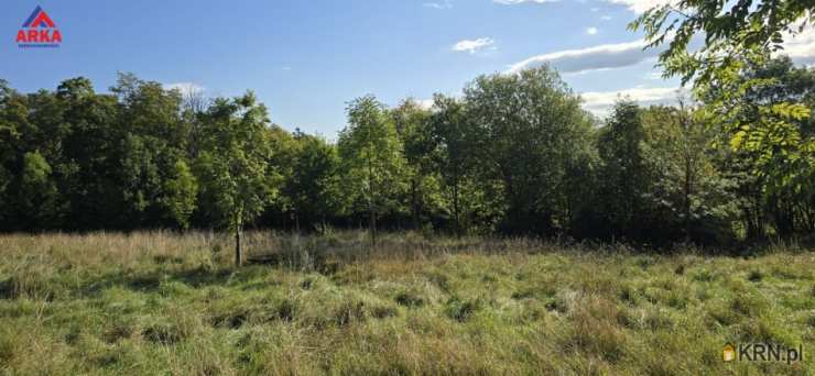 Wola Skrzydlańska, ul. , Działki  na sprzedaż, 