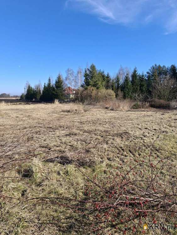 Królikowice, ul. , Działki  na sprzedaż, 