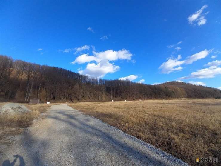 Działki  na sprzedaż, Chwaliszów, ul. , 