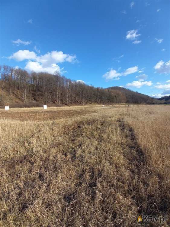 Biuro Nieruchomości SOWA, Działki  na sprzedaż, Chwaliszów, ul. 