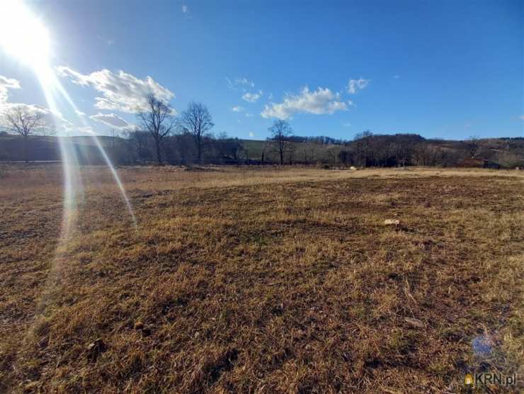 Działki  na sprzedaż, Chwaliszów, ul. , 