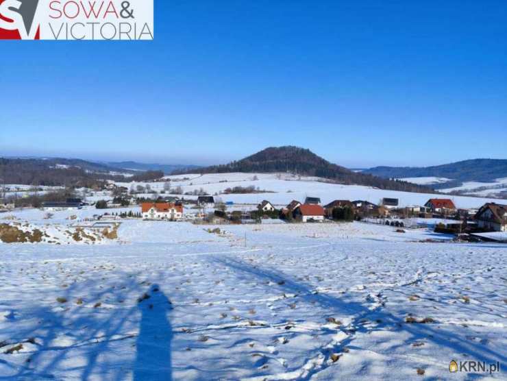 Działki  na sprzedaż, , Jeżów Sudecki, ul. 