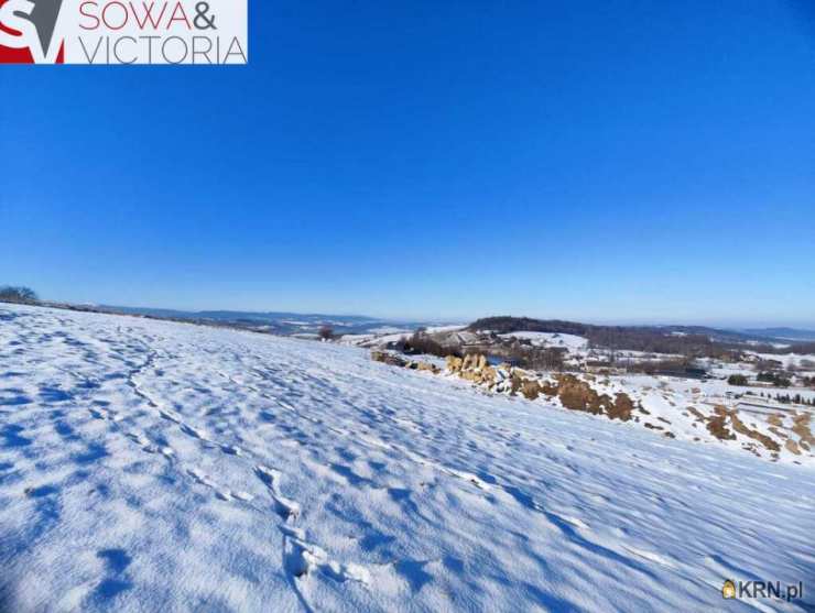 , Działki  na sprzedaż, Jeżów Sudecki, ul. 