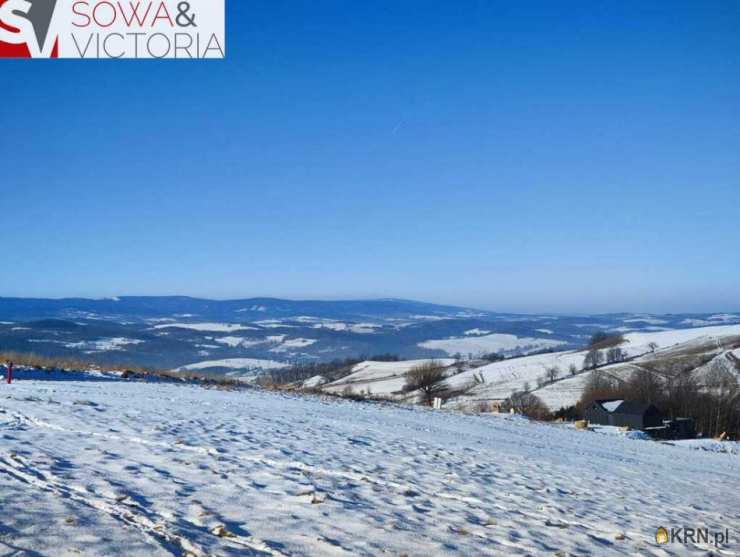Biuro Nieruchomości SOWA, Działki  na sprzedaż, Jeżów Sudecki, ul. 