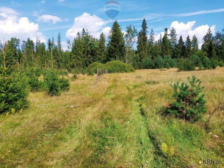 Jabłonka, ul. , Działki  na sprzedaż, 