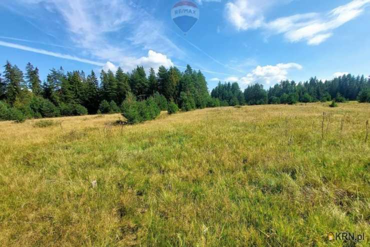 RE/MAX Polska, Działki  na sprzedaż, Jabłonka, ul. 