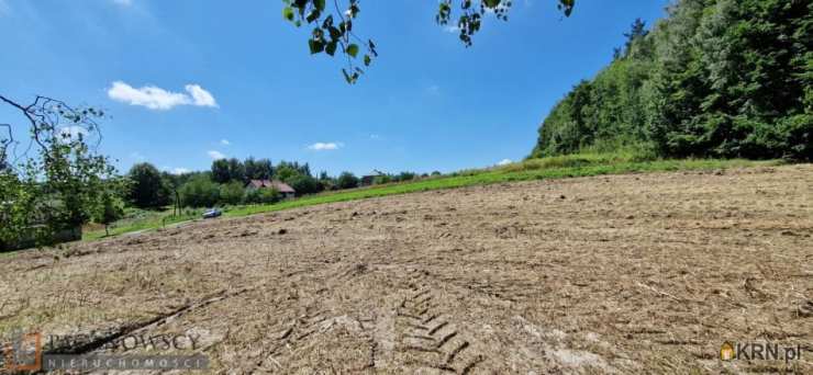 PACANOWSCY NIERUCHOMOŚCI, Działki  na sprzedaż, Czajowice, ul. 