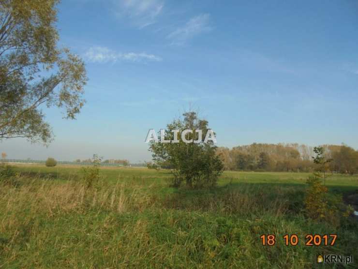 , Holendry Baranowskie, ul. , Działki  na sprzedaż