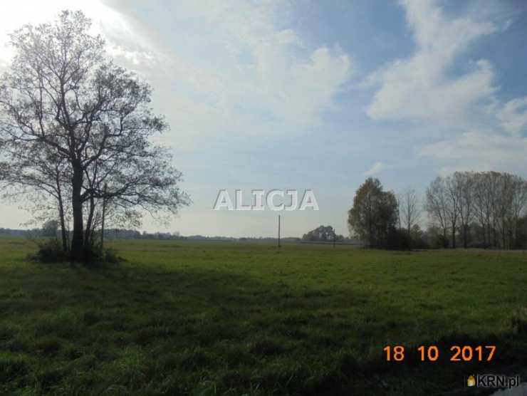 , Działki  na sprzedaż, Holendry Baranowskie, ul. 