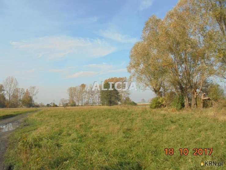 F.H.U. Alicja, Działki  na sprzedaż, Holendry Baranowskie, ul. 