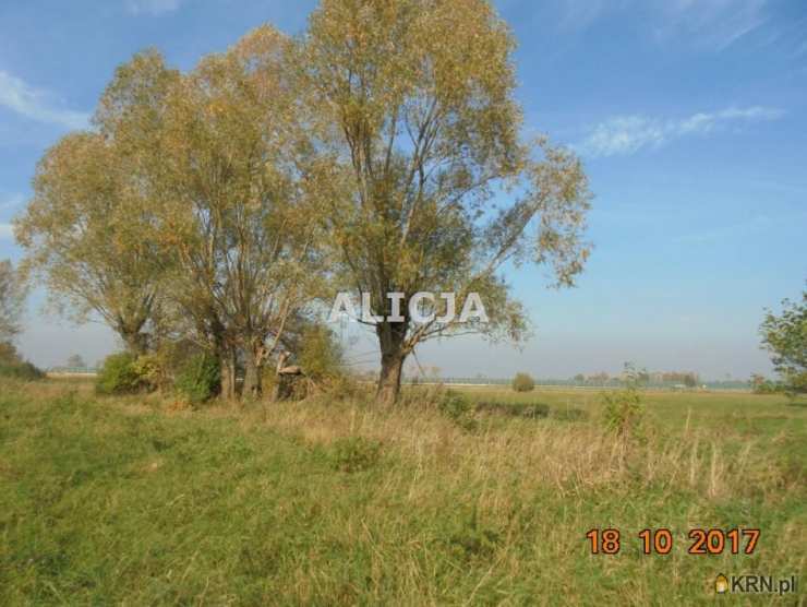 Działki  na sprzedaż, Holendry Baranowskie, ul. , 