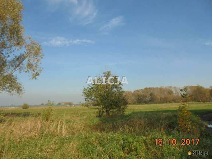 Holendry Baranowskie, ul. , Działki  na sprzedaż, 