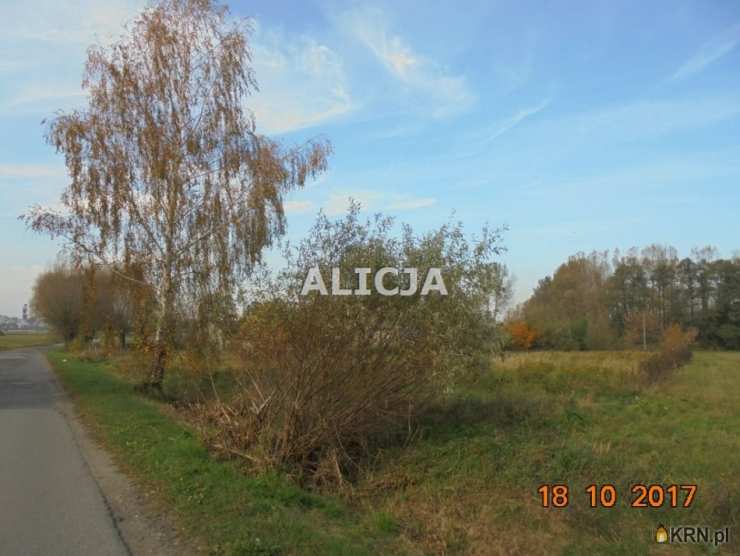 , Działki  na sprzedaż, Holendry Baranowskie, ul. 