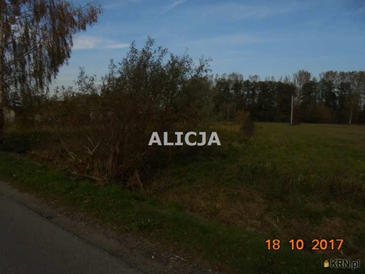 F.H.U. Alicja, Działki  na sprzedaż, Holendry Baranowskie, ul. 